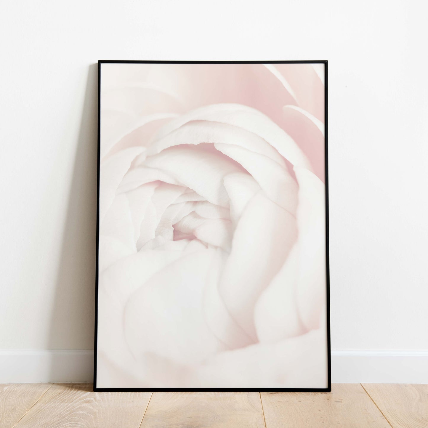 Poster Rose - „Daniela“